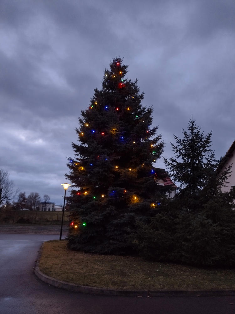 Weihnachtsbaum vor der Scheune